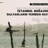 Öğrenci Fikir Yarışması: İstanbul Boğazı’nda Dalyanların Yeniden Hayali